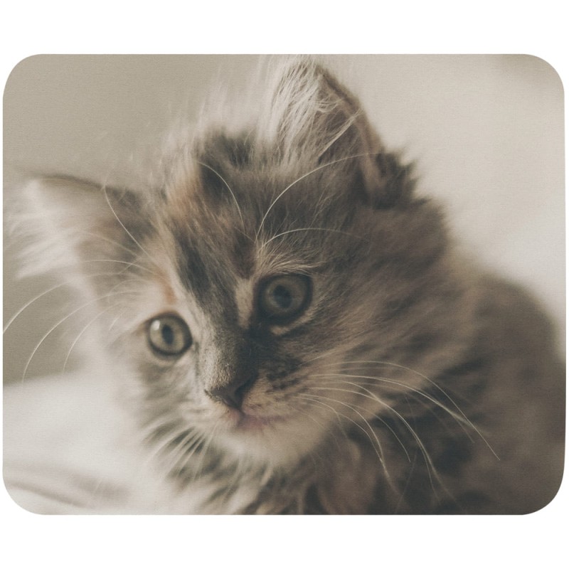 Tapis de souris chaton