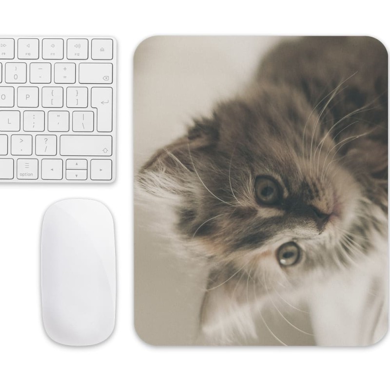 Tapis de souris chaton attendrissant pour petits et grands