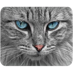 Tapis de souris chat