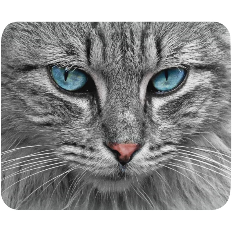 Tapis de souris chat