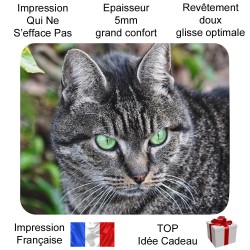 Tapis de souris chat gris yeux verts émeraude