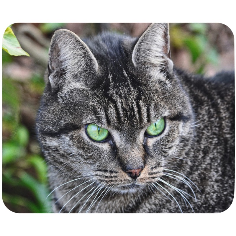 Tapis de souris chat yeux vert