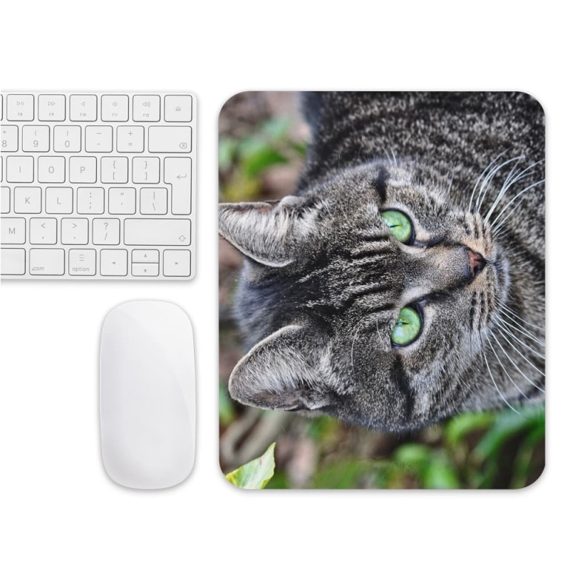 Tapis de souris chat gris yeux verts émeraude