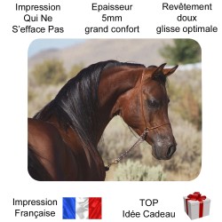 Tapis de souris cheval marron luisant crinière noire