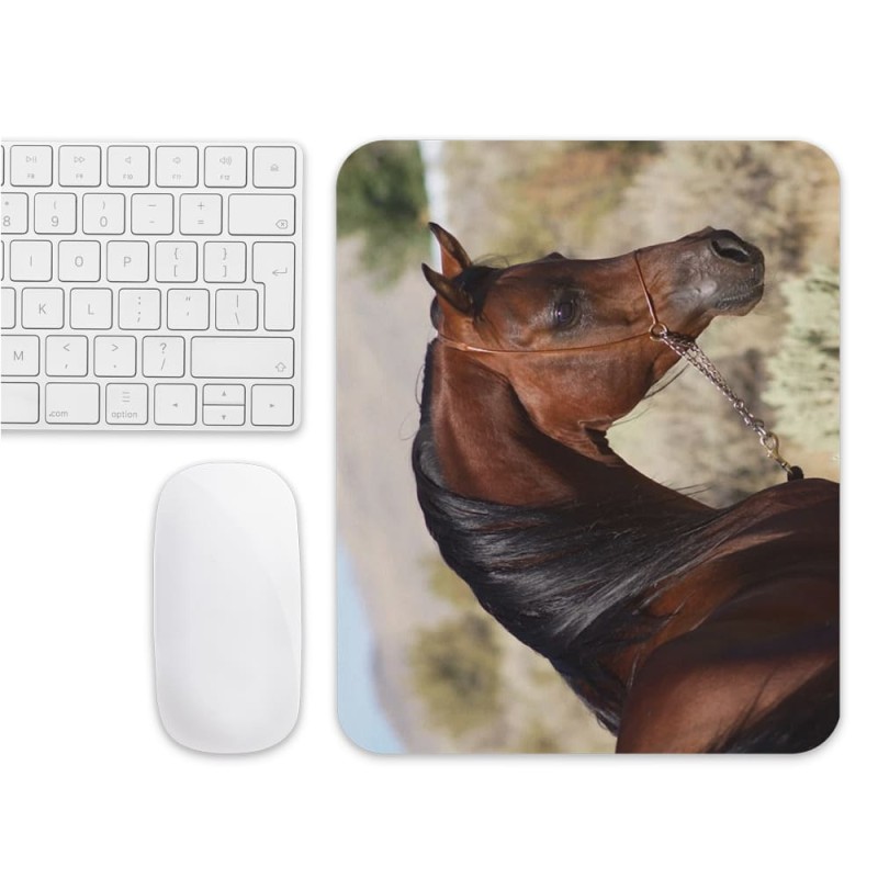 Tapis de souris cheval marron luisant crinière noire