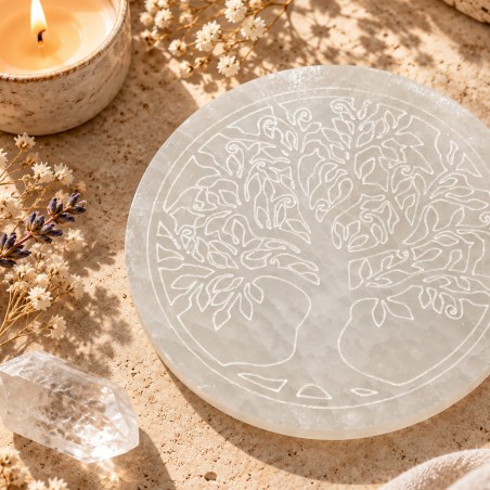 Plaque arbre de vie en sélénite gravée pour bijoux et pierres