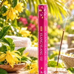 Encens HEM ylang-ylang fleur exotique, bâtonnets lot de 60
