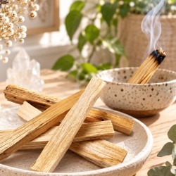 Bâton de palo santo naturel à brûler, sachet 25 g pas cher