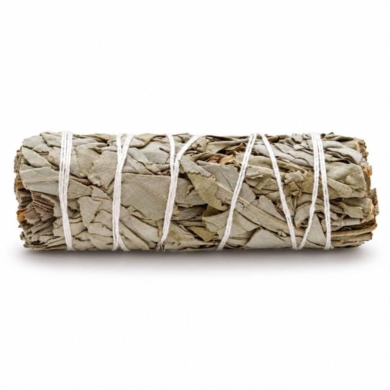 Fagot de sauge blanche de 10 cm dans son emballage kraft recyclable