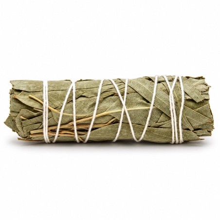Fagot de sauge blanche et de feuilles d’eucalyptus de 10 cm