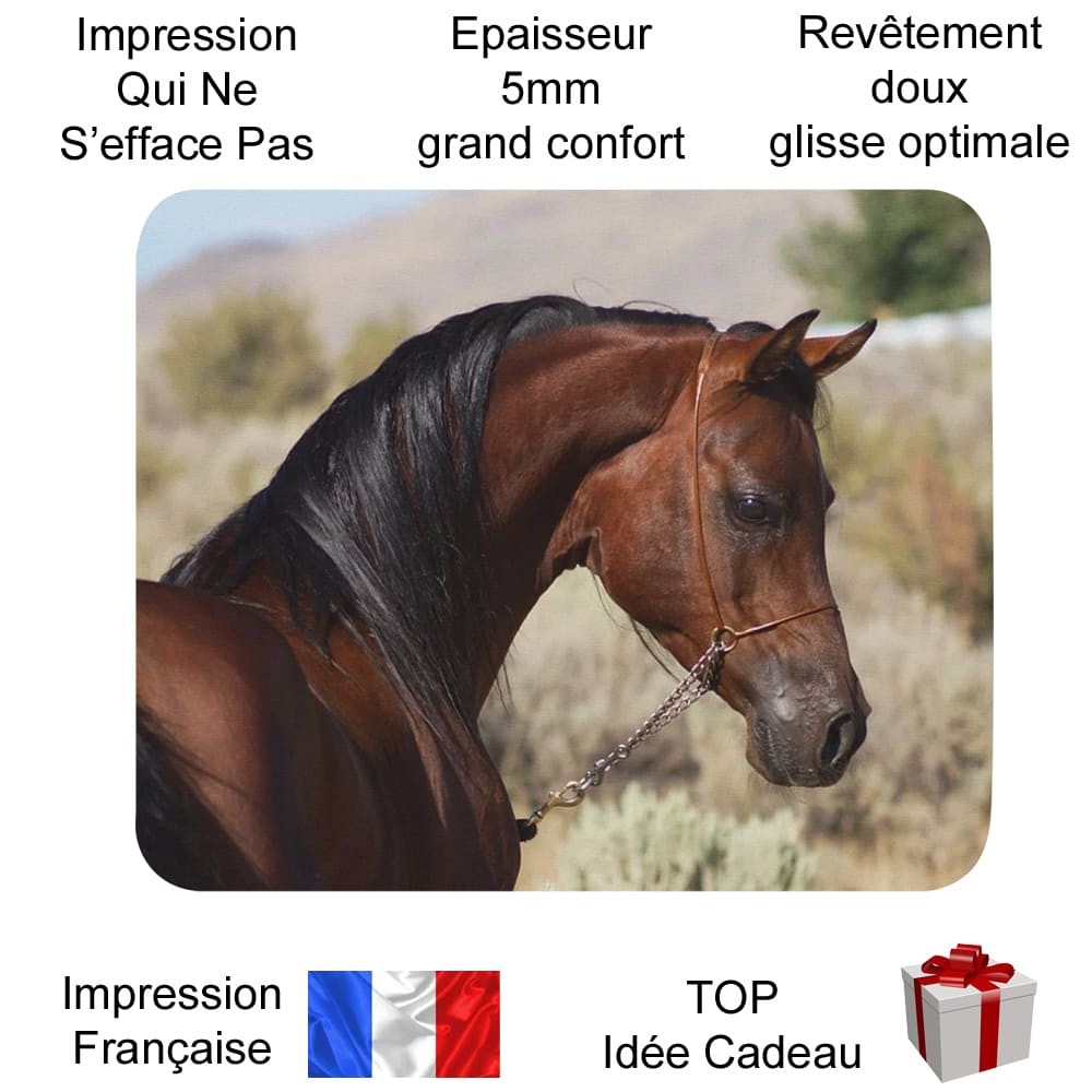 Tapis De Souris Imperméable Motif Cheval – 40 X 90 Cm – Antidérapant, Bords Cousus – Pour Bureau Et Gaming